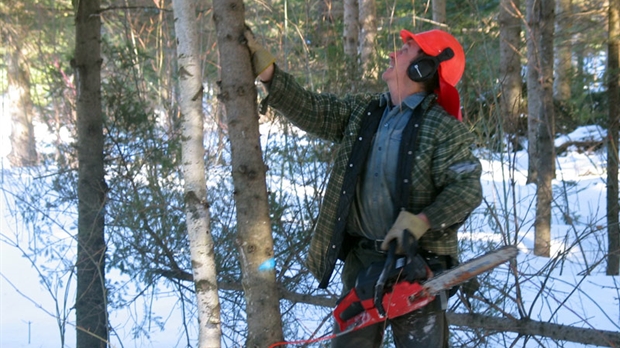 L'APBB décroche sa certification FSC