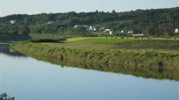 COBARIC remettra des arbres pour les propriétaires riverains