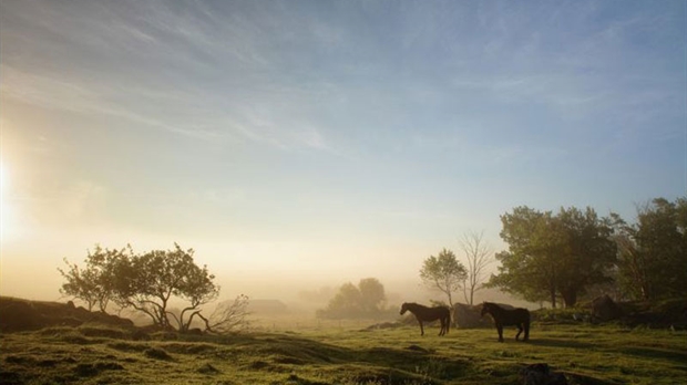 Une 10e édition du Concours de photographie amateur Clin d’œil sur la Beauce