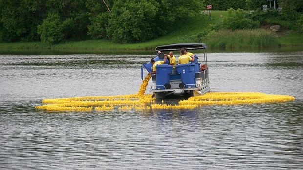 Déversement de canards sur la Chaudière