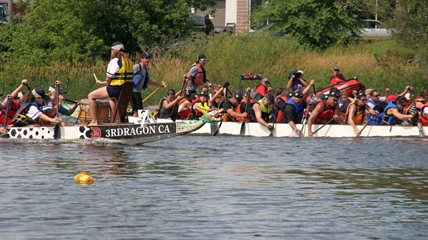 Invasion de Dragons sur la Chaudière