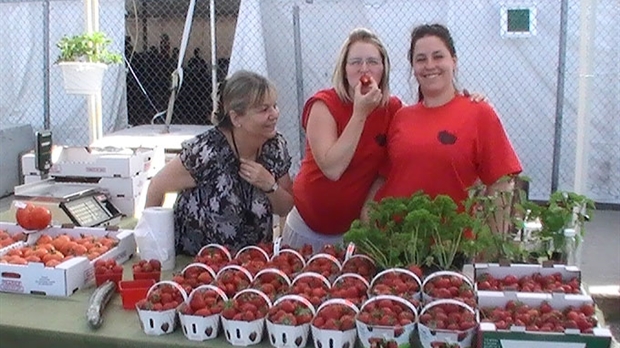 Le Marché public de Sainte-Marie ouvrira le 6 août