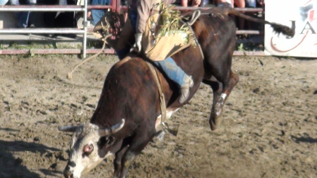 Les Festivités western de Saint-Victor s'amorcent vendredi