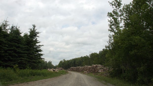 Mise en valeur des forêts privées québécoises- 5,4 M$ seront investis en Chaudière-Appalaches