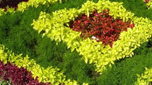 Vers, insectes et limaces : comment lutter contre les pires ennemis des jardiniers