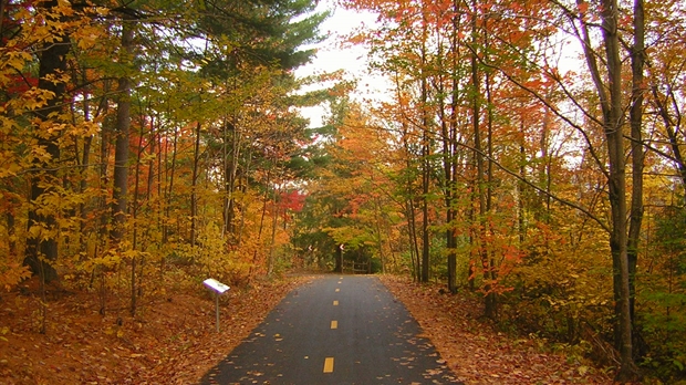 Activités de septembre dans une Beauce... colorée de nature!