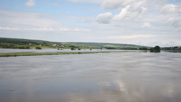 Une aide de 60 000 $ pour cartographier les milieux humides de la Chaudière-Appalaches et du Centre-du-Québec