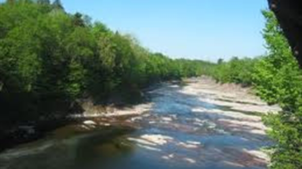 Le Comité de restauration de la rivière Etchemin a planté près de 15 000 arbres et arbustes en 2011