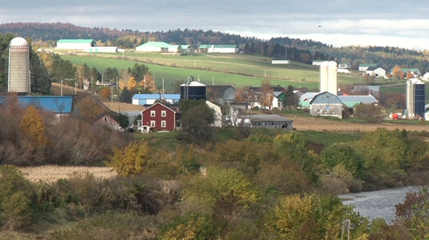 L'UPA de la Beauce et les MRC du territoire veulent se doter d'un plan de développement agricole