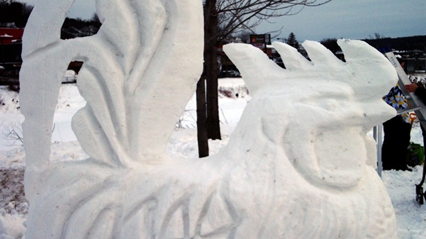 Sculpteurs et volleyeurs recherchés au Carnaval de Beauceville