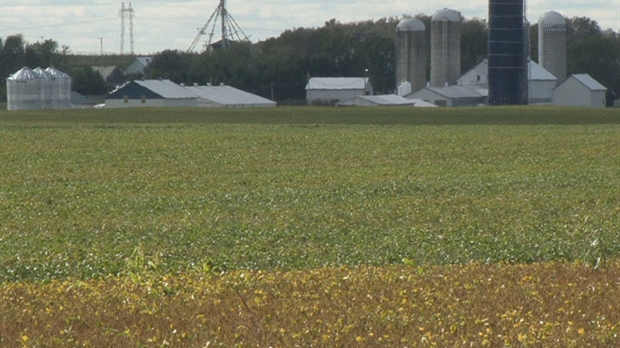 La Financière agricole fait le bilan de l'année 2011