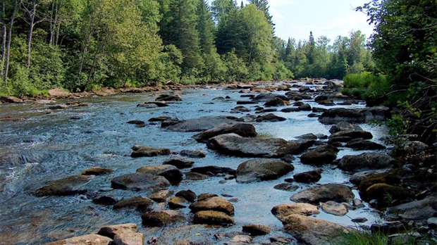Le Comité de restauration de la rivière Etchemin lance sa campagne de financement