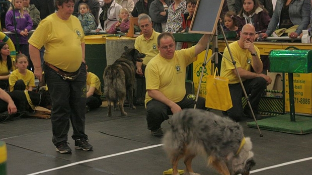 Le Carrefour Saint-Georges fait place à la race canine