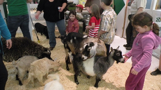 La mini-ferme une tradition au Carrefour depuis plus de 30 ans