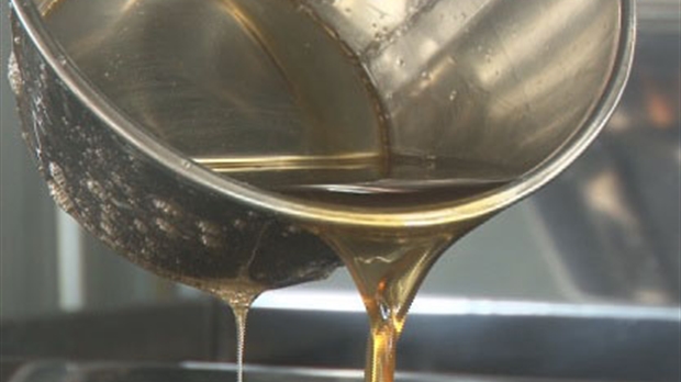 Production de sirop d'érable: Ça coule encore mais pas partout