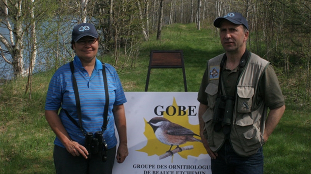 Le Gobe relève le Grand Défi Québec oiseaux