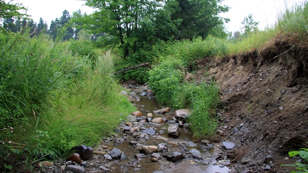 Le COBARIC souhaite le retour de la truite mouchetée à la rivière du Bois de Sainte-Marie