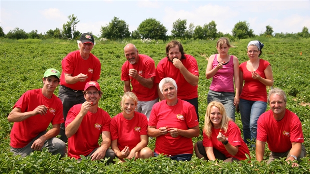 Les fraises de chez nous sont arrivées!