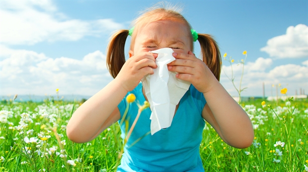 Trois façons naturelles de combattre les allergies cet été