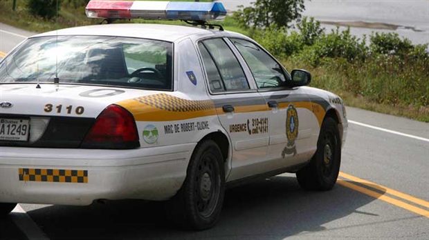 Cinq moutons s'échappent sur la 173 à Saint-Joseph