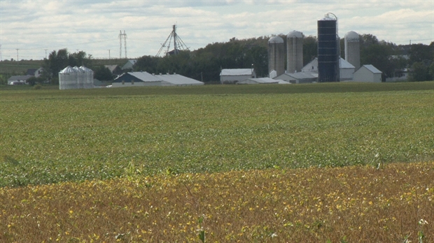 Agriculture: Un début de saison satisfaisant