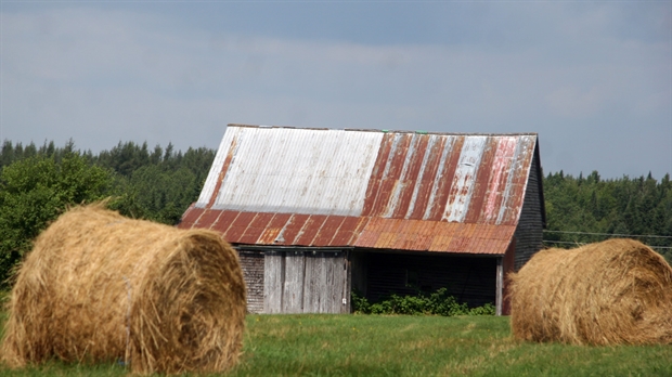 L'UPA de la Beauce rappelle aux candidats l'importance de l'agriculture