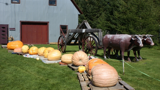 Une fête automnale attendue au Village des Défricheurs