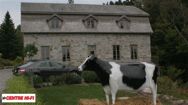 Perquisition de stupéfiants et vol d'une vache à Lac-Etchemin