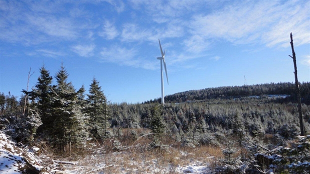Rétrospectives Affaires : Saint-Robert est productrice d'énergie éolienne