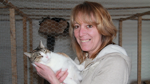 Annie Bégin : la protectrice des animaux