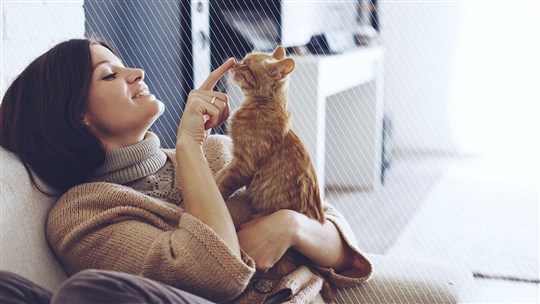 Bien vivre avec un chat qui a ses griffes