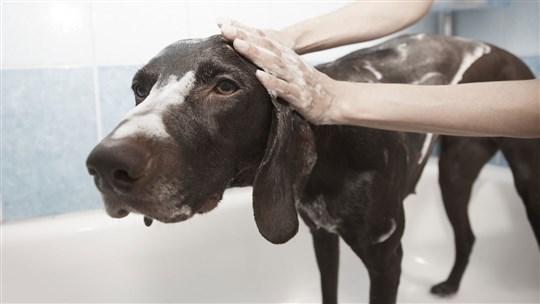 Les soins d’hygiène