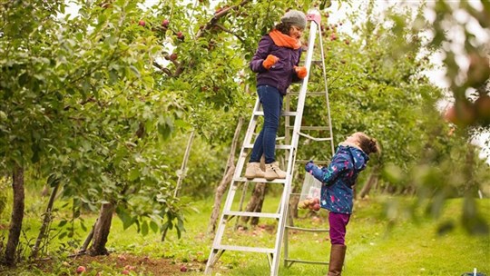 3 façons de vivre l’agrotourisme en Beauce cet automne!