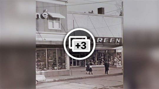 GREENBERG, SUCCESSEUR DU MAGASIN A.L. GREEN