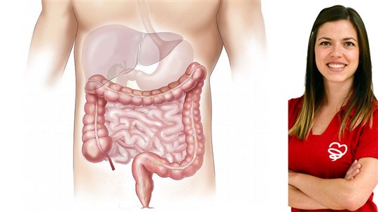 Microbiote intestinal : des milliards de bactéries au service de notre santé