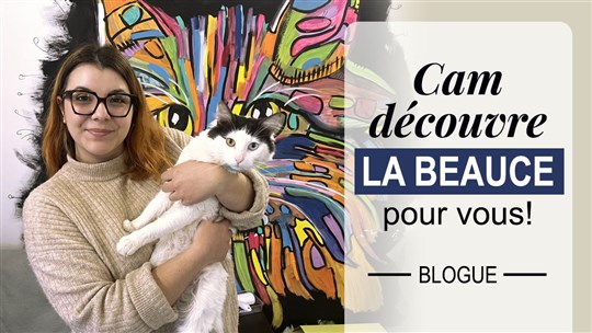 Rendez-vous félin au Chatfé de Beauceville