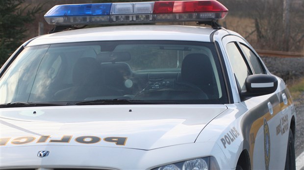 Un Joselois ivre tente de fuir la police dans les bois