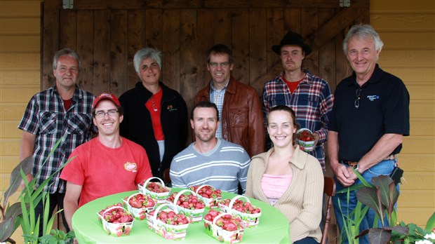 La saison des fraises est lancée en Beauce