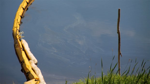 Le Ministère émet des précisions sur la quantité de pétrole déversée dans la nature