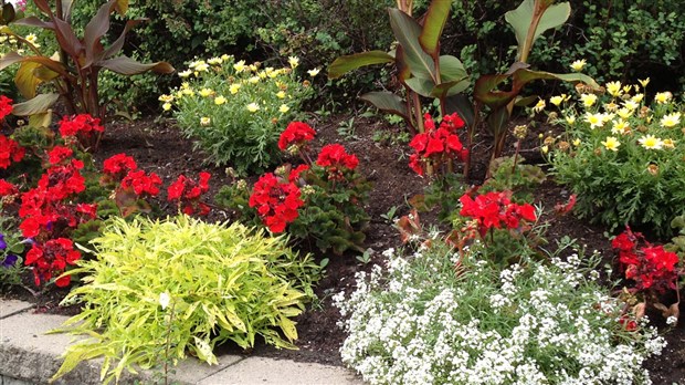 Saint-Georges prolonge l’inscription au concours « Cap sur l’embellissement »