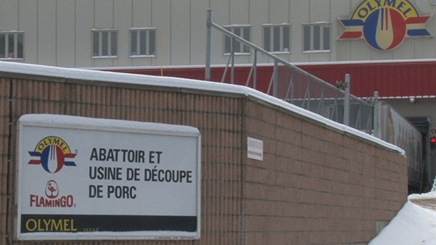 Olymel interrompt ses activités à Vallée-Jonction