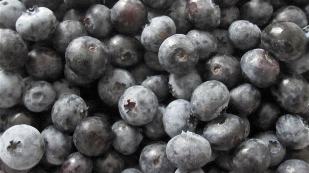 Les petits fruits de la Chaudière-Appalaches dans des établissements de santé et de services sociaux