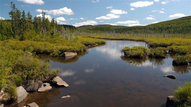 Nouvelle station d’enregistrement de la faune à Sainte-Marie