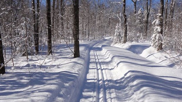 Voici quelques idées d’activités hivernales