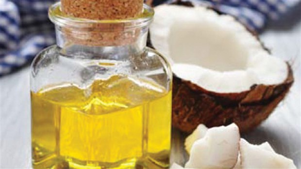 Noix de coco biologique : la meilleure compagne de votre peau pour l'hiver