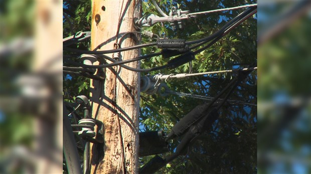 Qui a volé des fils de mise à terre dans des poteaux d'Hydro-Québec?