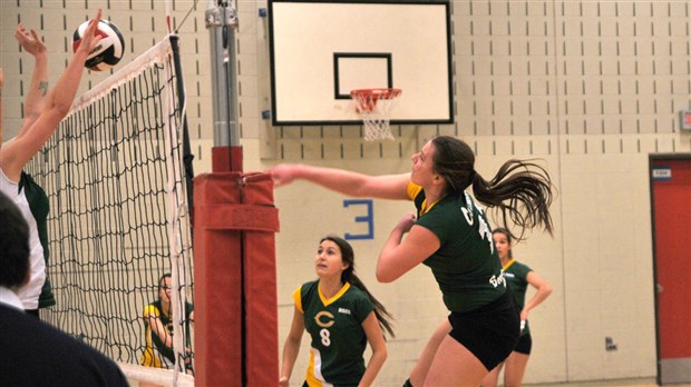 Volleyball féminin : les Condors qualifiés pour le championnat de la Conférence Nord-Est