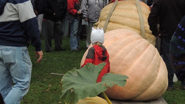 Le concours de citrouilles géantes du Village des Défricheurs est lancé