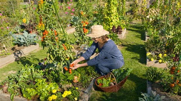 Le Jardin Potager au Grand Marché Beauce-Sartigan