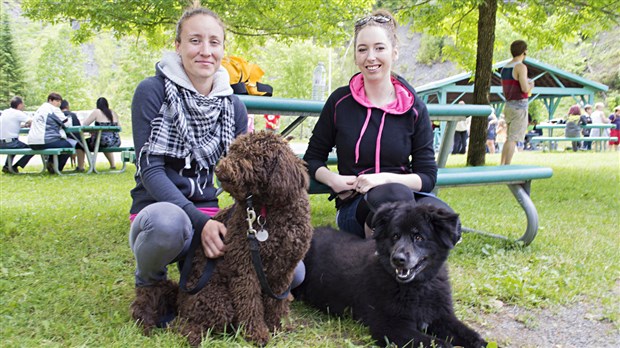 La SPA Beauce-Etchemin tient sa marche des Belles Gueules 